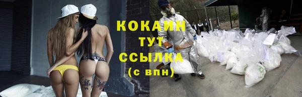 СК Алзамай