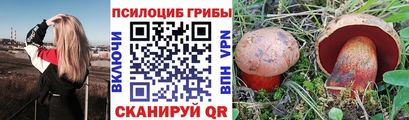 blacksprut маркетплейс  Долгопрудный  Псилоцибиновые грибы Magic Shrooms 